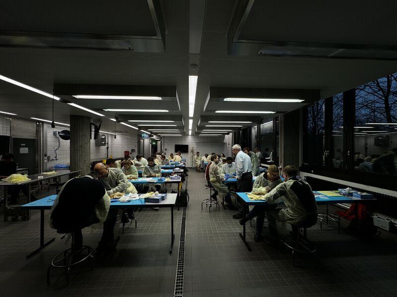 Hand Flaps Course 2024